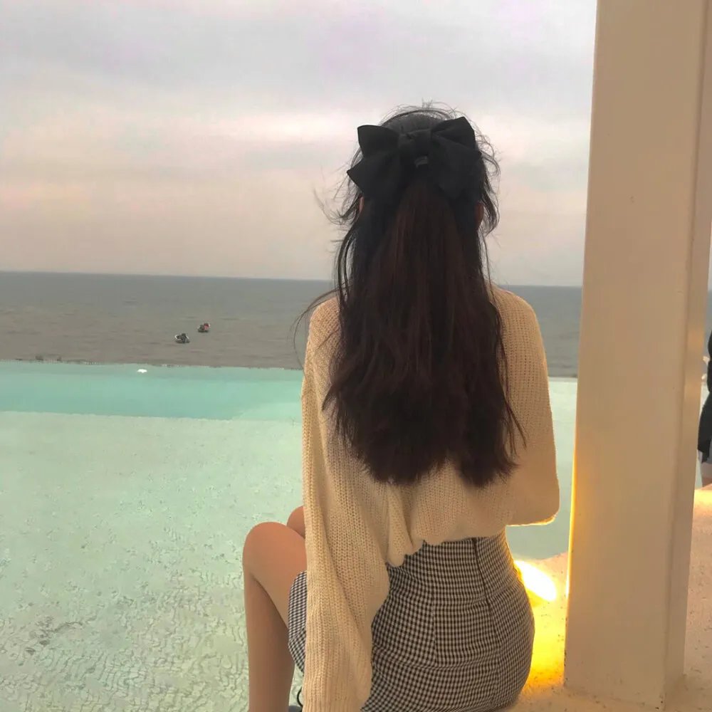 完美的骗子