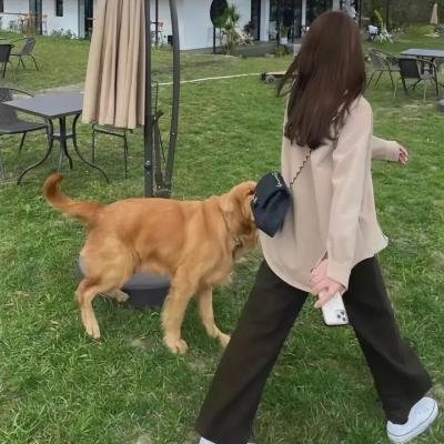 阿嬷打官司